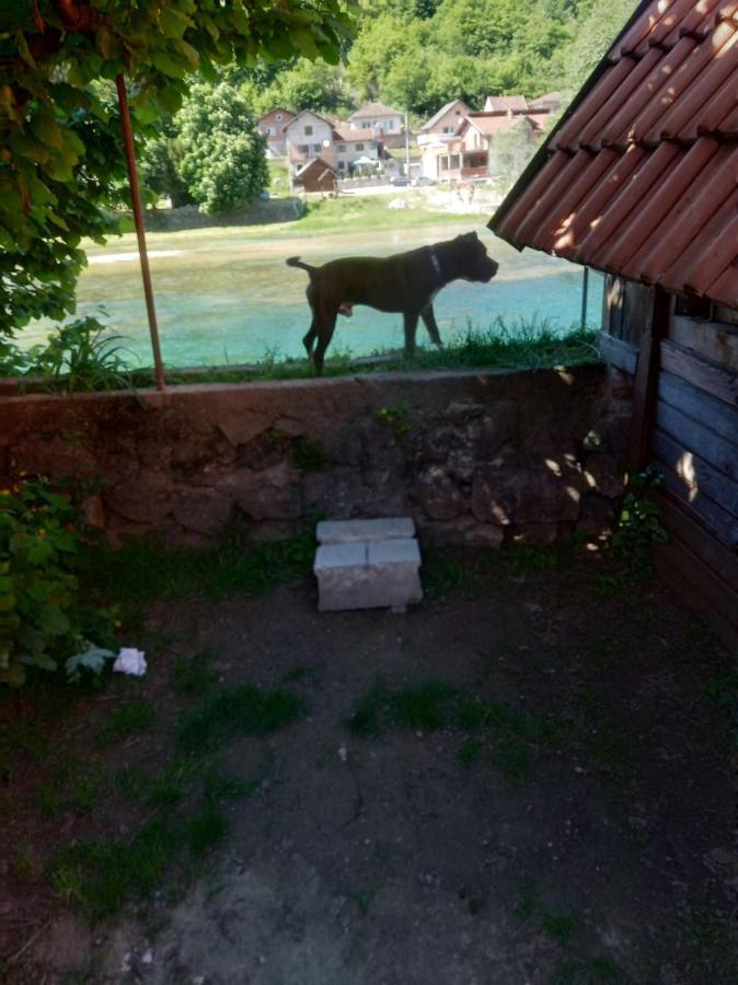 Appartamento Alfa Kulen Vakuf Esterno foto