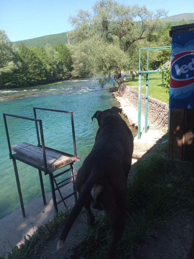 Appartamento Alfa Kulen Vakuf Esterno foto